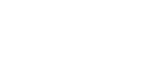 HostFlow logo